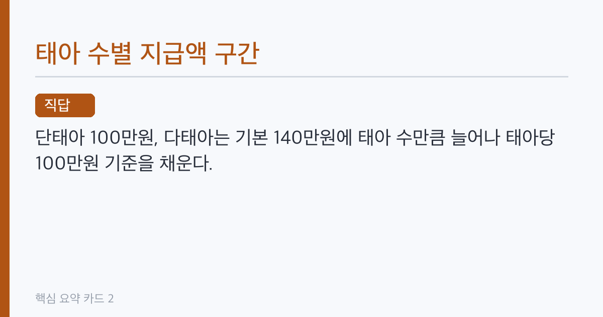 국민행복카드 다태아 지원금, 태아 수별 지급액과 신청 기한